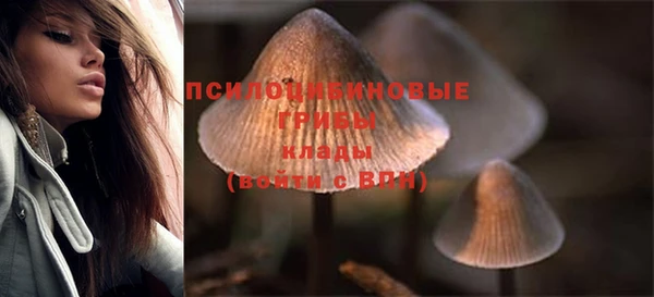 дурь Алексеевка